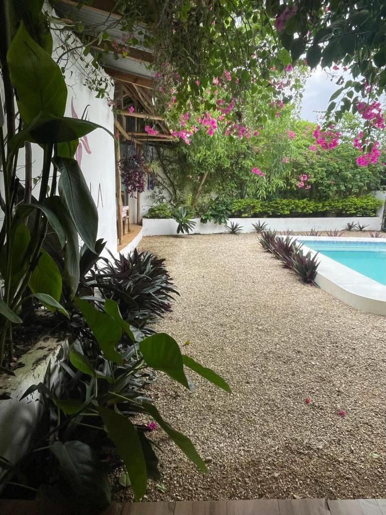 Vanilla Villa Nungwi Kültér fotó