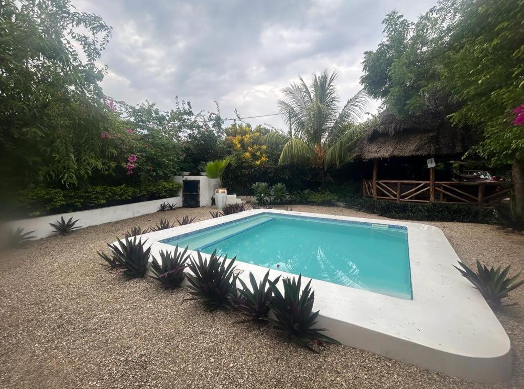 Vanilla Villa Nungwi Kültér fotó