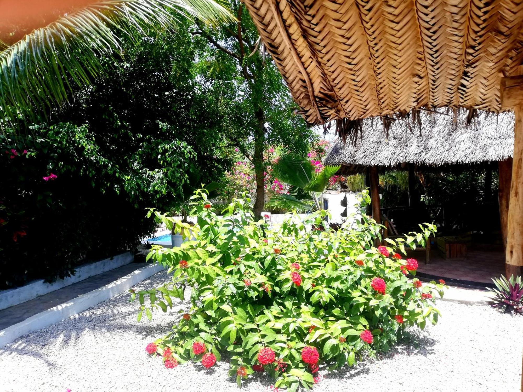 Vanilla Villa Nungwi Kültér fotó